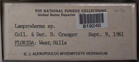 Image Associated With the Occurence